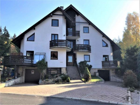 Гостиница Apartment Harrachov 10  Гаррахов